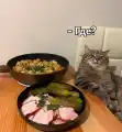 17749791685200.png