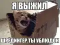 17749796280042.png