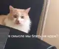 17749796280171.png