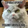 17749796280179.png