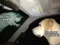 17749796280183.png