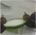 17750512785821.png