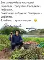 17750512785869.png