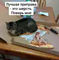 17750520416764.png