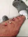 17750534329449.png