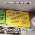 17751529888941.png
