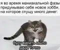 17751529888964.png