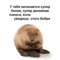 17751529888985.png