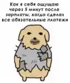 17752363161618.png