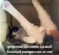17752363161623.png