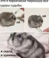 17753731347182.png