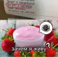 17753731347188.png
