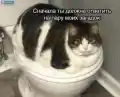 17753731347204.png