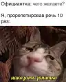 17753740823885.png