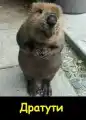 17753740823985.png