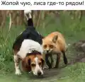 17753757145952.png