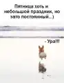 17753757145984.png
