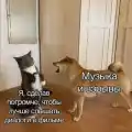17753763109043.png
