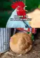 17753763109049.png