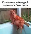 17754696426596.png