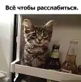 17754783738387.png