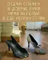 17754783738420.png