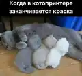 17754808355477.png