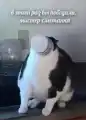 1775674209458302.jpg