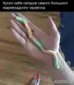 17760066875066.png