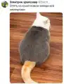 17760066875073.png