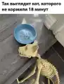 17760099329143.png
