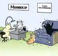 17760099329177.png