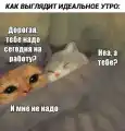 17760099329187.png