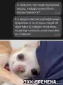 17764190305133.png