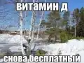 17764190305162.png