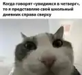 17765356742559.png