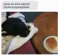 17765356742562.png