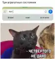 17765356742584.png