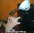 17765867786512.png