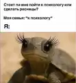 17765884162392.png