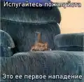 17765891025917.png