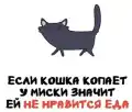 17765897239147.png