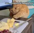 17768813421323.png