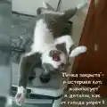 17768885033690.png