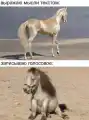 17768885033770.png