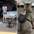 17770208276206.png