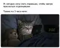 17770280707805.png