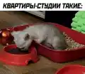 17771153296040.png