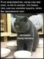 17773771446622.png