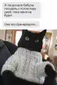 17773771446637.png